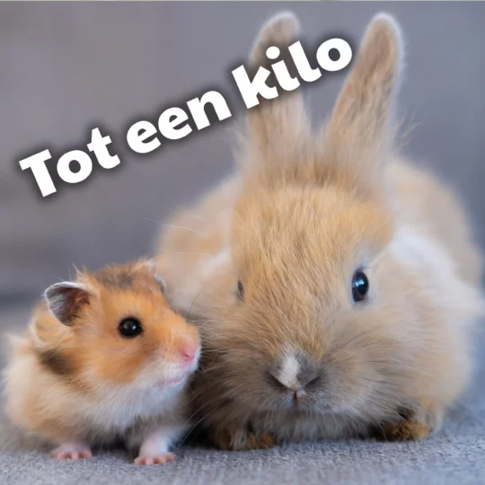 Resomeren tot 1kg