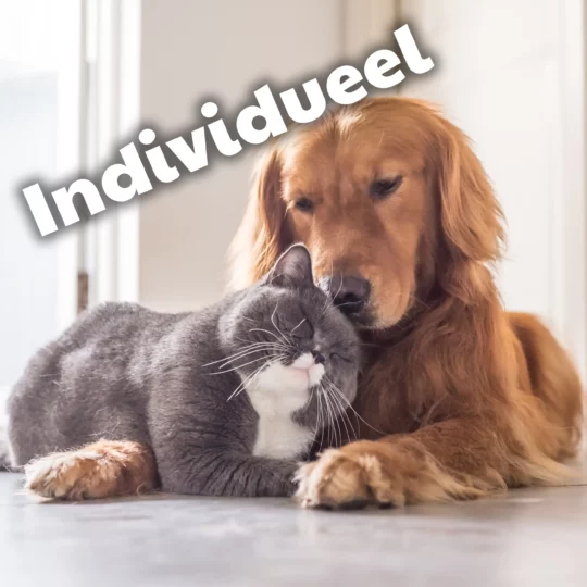 Individuele resomatie